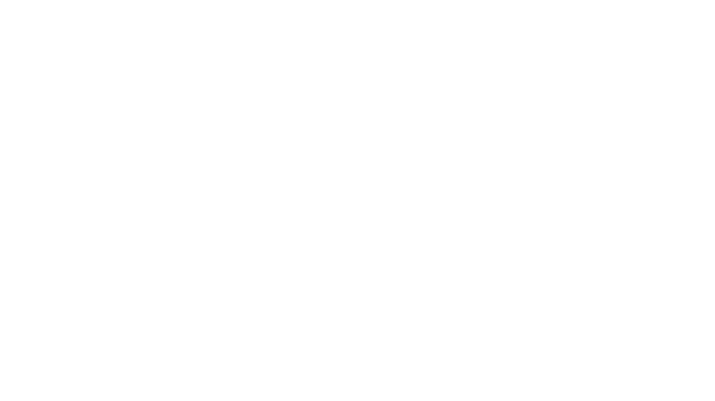 logo davide garzetti